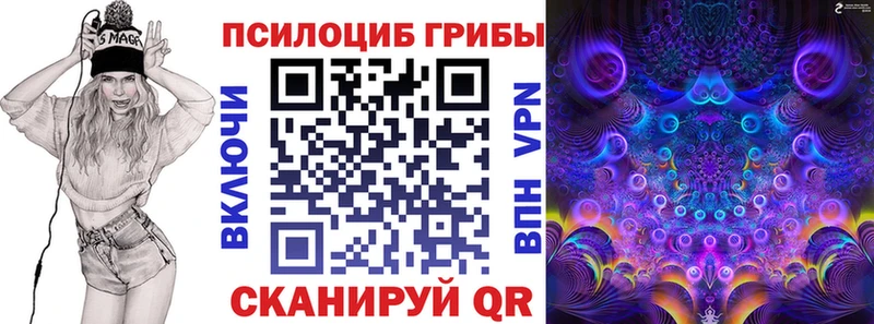 закладка Дно Псилоцибиновые грибы мицелий