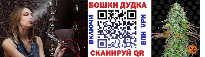 Бошки марихуана планчик  Дно 